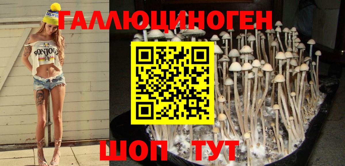 Лыткарино  Псилоцибиновые грибы Cubensis  Галлюциногенные грибы Cubensis  Вход с VPN 
